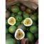 PASSION FRUIT Vietnam 2016 (Jolie Whatsapp viber 84 98 358 7558)