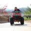 4 Wheel ATV 2 Strokes Lowest Dune Buggy Price