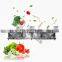 Industrial Ozone Strawberry Apple Washing Line Drying Machine Air Bubble Fruit Vegetable Washer