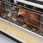 Battery cage for chicken poultry cage