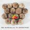 Black Garlic Product Bulk Sale