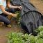 Sunshade Net Shade Net for Agriculture Shade Sails Enclosure Nets Protection UV Outdoor HDPE 50-150GSM