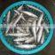 sizes 80 pcs / ctn frozen IQF slender makerel Exporting