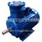 Yb3 (YBS) Series Explosion Proof Mining Motor