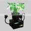 Wireless DMX led plant indoor light 4pcs 6in1RGBWA+UV flower uplight