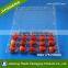 Fruit Plastic Packaging Strawberry Blister Container trays