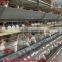 egg chicken house design for layers / chicken farm equipment