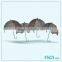 Umbrella Shape Metal Wall Sculpture