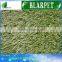 Super quality low price golf artificial turf carpet