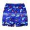 kids summer set with short sleeve printed short Baby Boys Clothing Set 2015