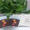 Shandong Colorful Paper Cup Fan