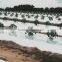PE Agricultural black plastic perforated mulch film with holes for strawberry