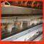 automatic large-scale automatic h type chicken cage for good sale