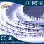 Waterproof SMD Led Strip Light 1210 CE ROHS DC12V RGB Multicolor Flexible Soft Lights