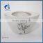 direct supplier unique indoor ceramic glazed garden pots decorative