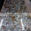 Penguin Shell Table Top Tile for Home Decoration