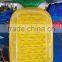 Inflatable pinapple shape Mattress