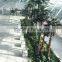 Artificial Palm Tree Decoration Design For Airport Interior Decoration