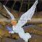 Manufactory best quality led holiday decor light christmas angel