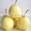 supply 2015 new crop sweet Ya pear with best price