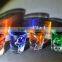 Personalized Pokemon Etched Shot Glass