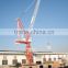 Shandong Province Slewing D260(6029) Luffing jib tower crane self raised erecting hoisting lift for sale in Dubai and Middle Eas