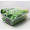 2.5kg Capacity Disposable Clear Plastic Punnet for Vegetable