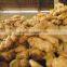 GIMEX VIET NAM FRESH HOT GINGER