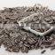 new fresh white strip sunflower seed