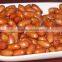 top grade peanut for selling and from direct factory with best quality