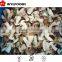 IQF Boletus edulis (Grade B-Cube) - S