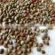 Natural Perilla Seed Oil Halal Certified