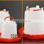 JIFENG FACTORY DIRECT SELLING POULTRY DRINKER /CHICKEN DRINKER 1L