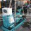 Diesel engine generator