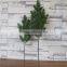 Plastic white pine tree branch flocked