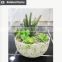 artificial succulents wholesale bonsai potted small plant table artificial preserved plant