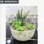 artificial succulents wholesale bonsai potted small plant table artificial preserved plant