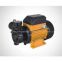 Vortex pump / Peripheral pump DB125
