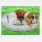 plusg dog sleep on the mat 2015 New plush toys
