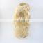 2016 women high temperature wire inclined long hair a little curly wig