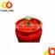 6.0kg lpg gas tank for Africa market