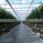 long life galvanized steel frame greenhouse