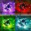 10M DC5V USB RGB LED ленточный фонарь с 24-клавиатурным пультом дистанционного управления для украшения Елки на Рождество 16 цветов