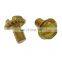 Brass plastic wood self tapping screw