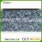 China Cheap Blue Pearl Granite Price