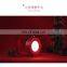 2022 Christmas Rechargeable LED Outdoor Kids Lantern Night Lamp For Home Lighting