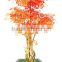 Handmade Colorful Mini Maple Tree