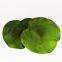 Green Colored Leaf Table Placemats For Wedding Dinning Table Decoration
