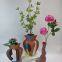terracotta  vase