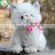 Animal cat plush toy white stuffed animal toy cat